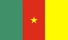 флаг Камеруна 