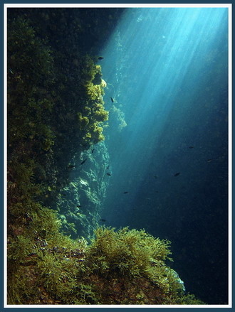 Фотография Мальты. Дневной свет под водой 