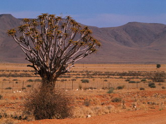Фотография Намибии. Намибия, пейзаж 