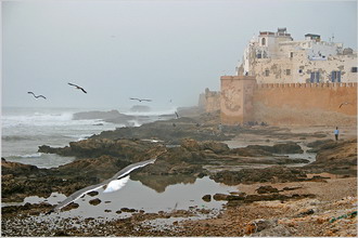 Фотография Марокко. Эс-Сувейра. Отлив... 