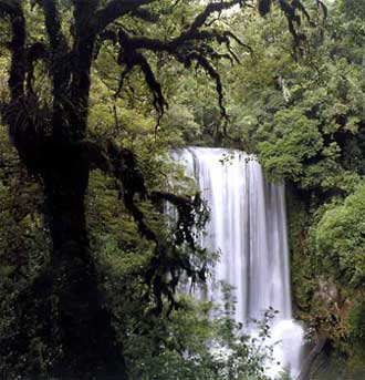 Фотография Новой Зеландии. Водопад в Новой Зеландии 