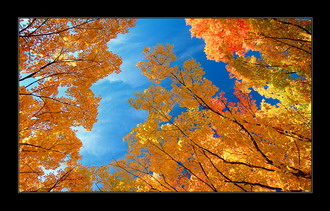 Фотография Канады. Краски Осени 