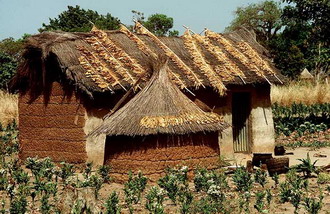 Фотография Бенина. Бенин, традиционная деревня 