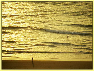 Фотография Индии. Золотое море 