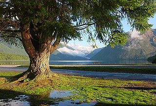 Фотография Новой Зеландии. Новая Зеландия - Страна Белого Длинного Облака 