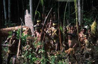 Фотография Гвинеи. Поселенья людей (в джунглях), Новая Гвинея 