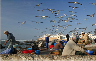 Фотография Марокко. Живущие морем... 