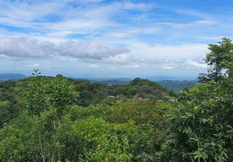 Фотография Коста-Рики. Коста-Рика, вечнозеленые леса... 