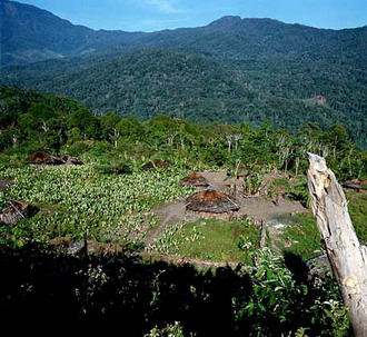 Фотография Гвинеи. Папуа-Новая Гвинея, деревня в горах 